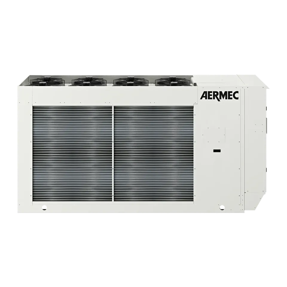 AERMEC NRGI 151/602